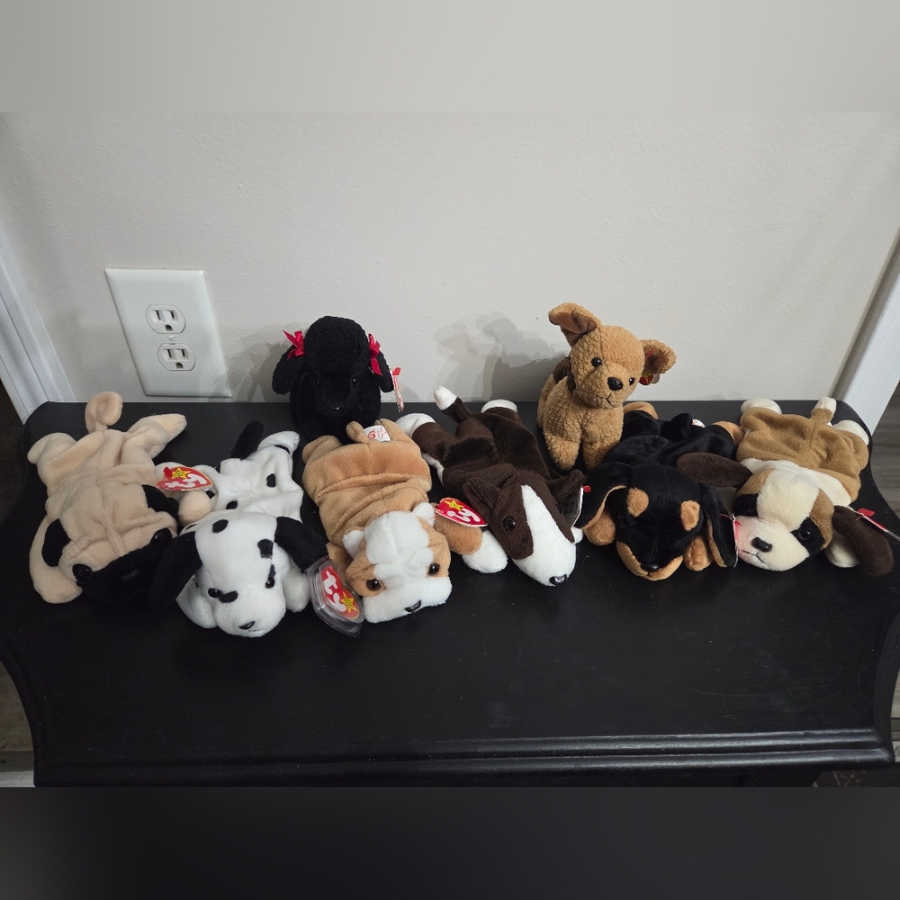 8 Ty Beanie Babies Dog Bundle